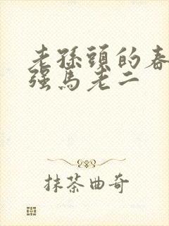 老孙头的春天马强马老二