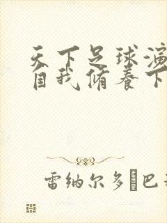 天下足球演员的自我修养下