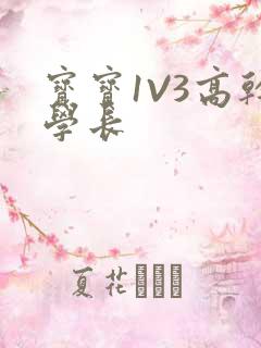 宝宝1V3高干学长