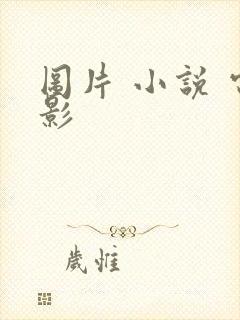 图片 小说 电影