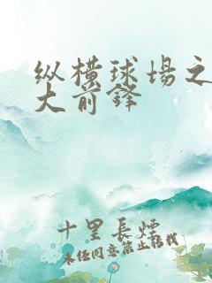 纵横球场之暴力大前锋