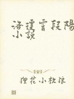 洛琼霄段阳澍的小说