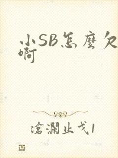 小SB怎么欠C啊