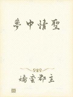 梦中情圣
