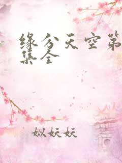 缘分天空第12集全