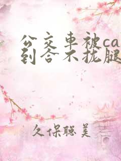 公交车被cao到合不拢腿app