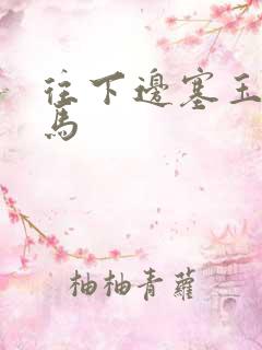 往下边塞玉器骑马