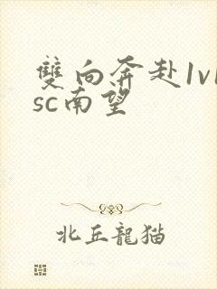 双向奔赴1v1sc南望