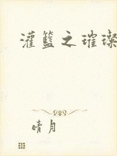 灌篮之璀璨生涯