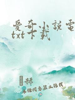 爱奇小说电子书txt下载