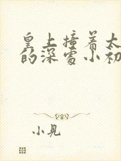 皇上撞着太子妃的深处小初