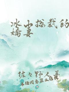 冰山总裁的掠爱娇妻