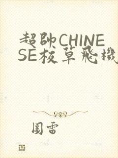 超帅CHINESE校草飞机BLUE