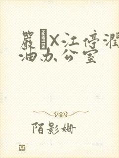 严峫X江停润滑油办公室