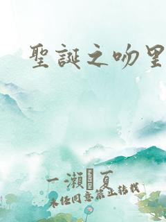 圣诞之吻里沙篇