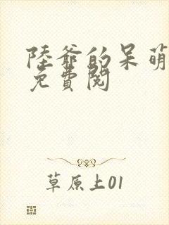 陆爷的呆萌甜妻免费阅