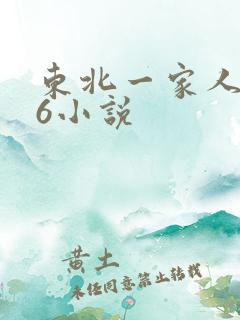 东北一家人1一6小说