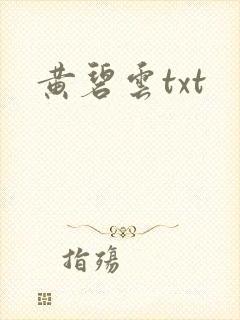 黄碧云txt