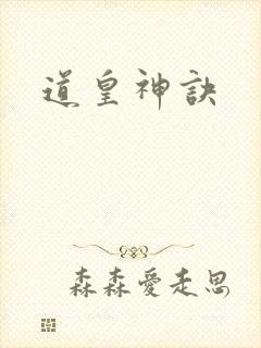 道皇神诀