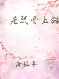 老鼠爱上猫下载