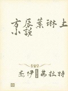 方辰叶琳上官步小说