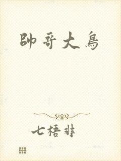帅哥大鸟