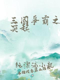 三国争霸之异军突起