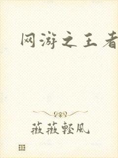 网游之王者天下