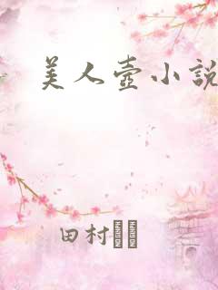 美人壶小说
