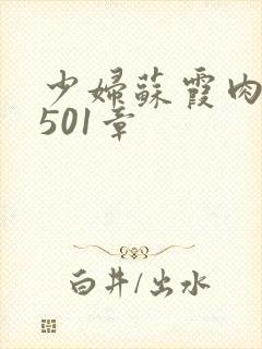 少妇苏霞肉欲第501章