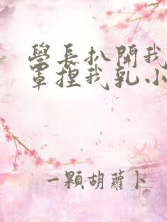学长扒开我的乳罩捏我乳小说
