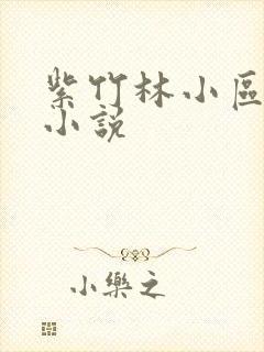 紫竹林小区快递小说