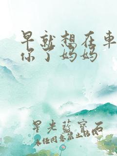 早就想在车里要你了妈妈