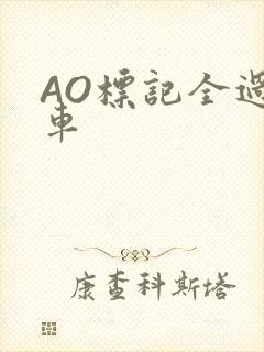 AO标记全过程车