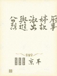 公与淑婷厨房猛烈进出故事