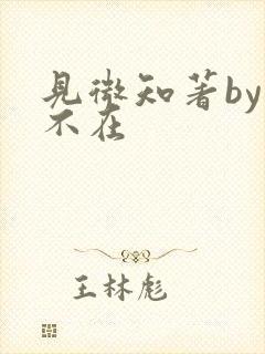 见微知著by音不在