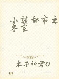 小说都市之军火专家