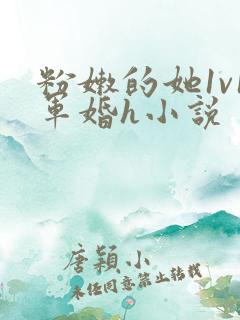 粉嫩的她1v1军婚h小说