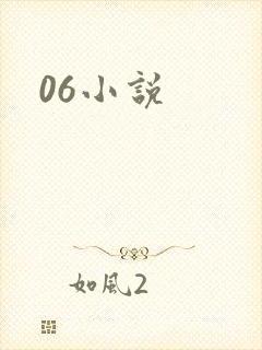 06小说