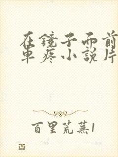 在镜子面前做开车疼小说片段