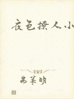 夜色撩人小说