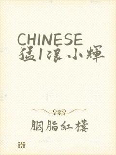 CHINESE猛1浪小辉