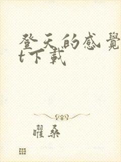 登天的感觉txt下载