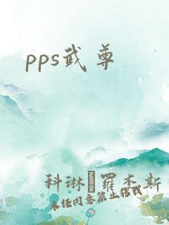 pps武尊