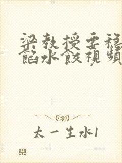 梁教授要稳住肉馅水饺视频