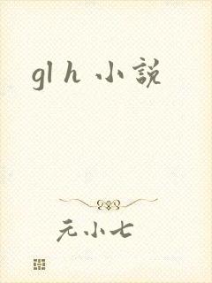 gl h 小说