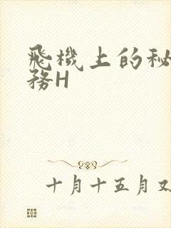 飞机上的秘密服务H