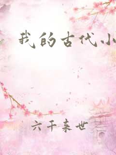 我的古代小夫侍
