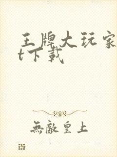 王牌大玩家txt下载