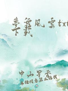 梦舞风云txt下载